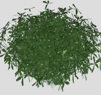 茂密的常绿草本植物SU模型下载_sketchup草图大师SKP模型