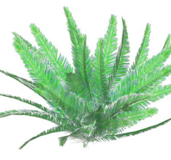 3D蕨类植物SU模型下载_sketchup草图大师SKP模型