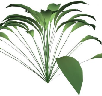 大型常绿观叶植物SU模型下载_sketchup草图大师SKP模型