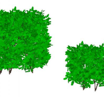现代树篱植物SU模型下载_sketchup草图大师SKP模型