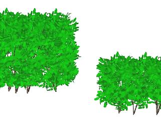 现代树篱植物SU模型下载_sketchup草图大师SKP模型