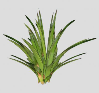 3D番麻龙舌兰植物SU模型下载_sketchup草图大师SKP模型
