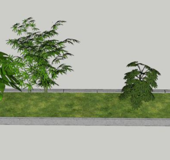 花园种植观赏观叶植物SU模型下载_sketchup草图大师SKP模型