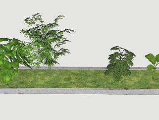 花园种植观赏观叶植物SU模型下载_sketchup草图大师SKP模型