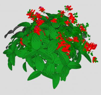 红色杜鹃花科灌木植物SU模型下载_sketchup草图大师SKP模型