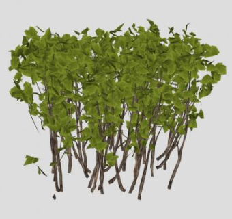 小型直立灌木SU模型下载_sketchup草图大师SKP模型