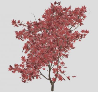 落叶乔木红枫SU模型下载_sketchup草图大师SKP模型