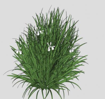 观赏开花草本植物SU模型下载_sketchup草图大师SKP模型