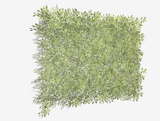 植被植物墙SU模型下载_sketchup草图大师SKP模型