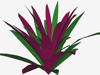 <em>紫</em>鸭跖草草本植物SU模型下载_sketchup草图大师SKP模型