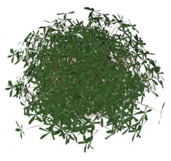 地被观赏植物SU模型下载_sketchup草图大师SKP模型
