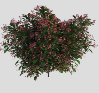 粉色玫瑰灌木植物SU模型下载_sketchup草图大师SKP模型