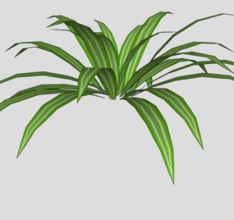 多年生绿叶植物SU模型下载_sketchup草图大师SKP模型