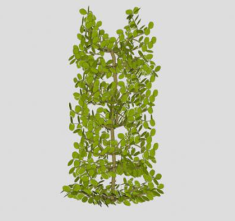 山毛榉树篱植物SU模型下载_sketchup草图大师SKP模型