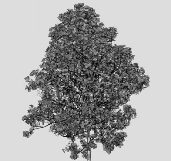 几何树叶高大乔木SU模型下载_sketchup草图大师SKP模型