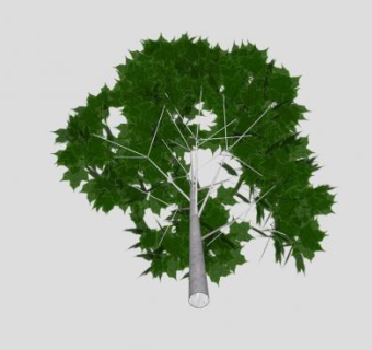 常绿阔叶中型乔木SU模型下载_sketchup草图大师SKP模型