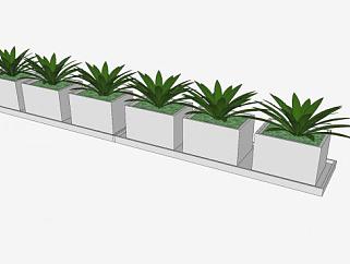 现代排列盆栽植物SU模型下载_sketchup草图大师SKP模型