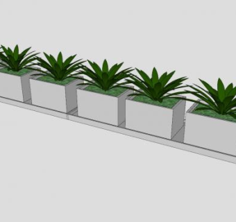 现代排列盆栽植物SU模型下载_sketchup草图大师SKP模型