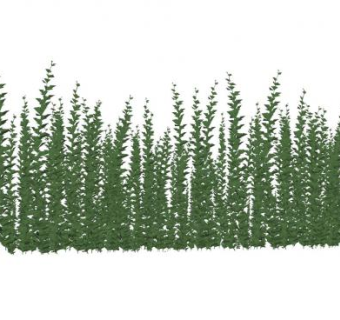 直立生长绿色植物SU模型下载_sketchup草图大师SKP模型