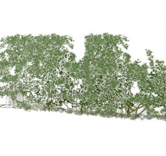 藤本植物墙SU模型下载_sketchup草图大师SKP模型