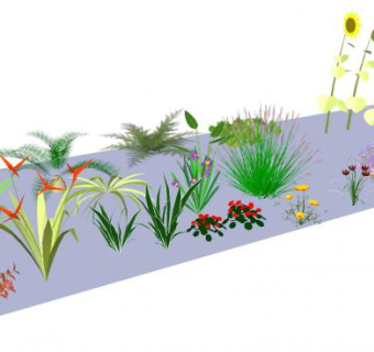 3D灌木及开花植物系列SU模型下载_sketchup草图大师SKP模型