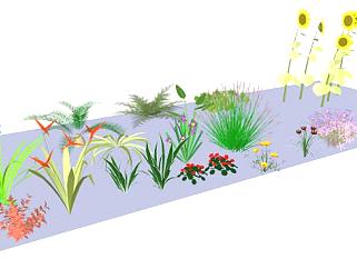 3D灌木及开花植物系列SU模型下载_sketchup草图大师SKP模型