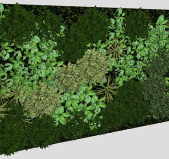 垂直观赏植物墙SU模型下载_sketchup草图大师SKP模型