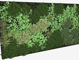 垂直观赏植物墙SU模型下载_sketchup草图大师SKP模型