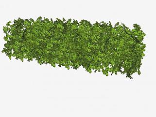 绿化植物树篱SU模型下载_sketchup草图大师SKP模型