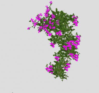 开花藤本植物SU模型下载_sketchup草图大师SKP模型