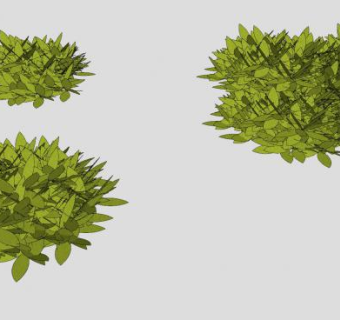 灌木丛植物草图SU模型下载_sketchup草图大师SKP模型