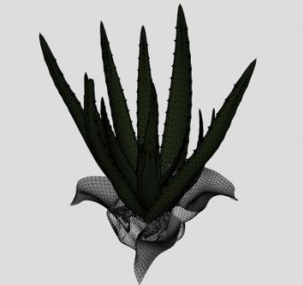包裹的芦荟植物SU模型下载_sketchup草图大师SKP模型