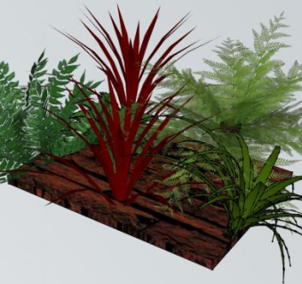 木板上的观赏植物SU模型下载_sketchup草图大师SKP模型
