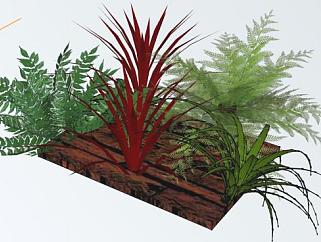 <em>木板</em>上的观赏植物SU模型下载_sketchup草图大师SKP模型