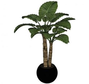 现代盆栽观赏木本SU模型下载_sketchup草图大师SKP模型