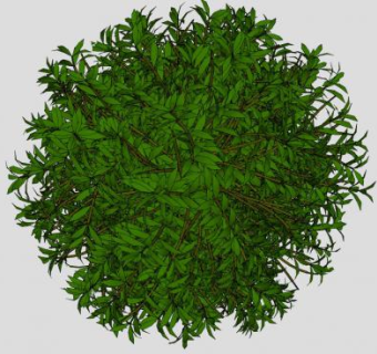 圆形绿叶灌木SU模型下载_sketchup草图大师SKP模型