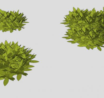 多处灌木植物SU模型下载_sketchup草图大师SKP模型