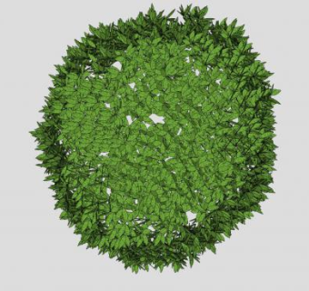 绿绒黄杨木灌木SU模型下载_sketchup草图大师SKP模型