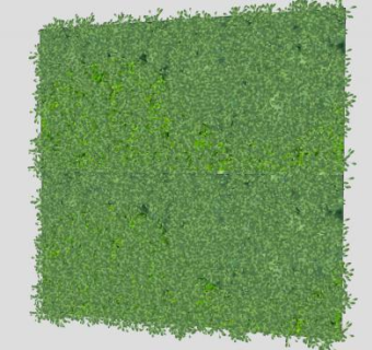 垂直花园阔叶植物SU模型下载_sketchup草图大师SKP模型