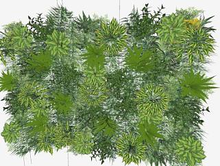 草本植物垂直花园SU模型下载_sketchup草图大师SKP模型