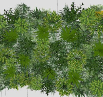草本植物垂直花园SU模型下载_sketchup草图大师SKP模型