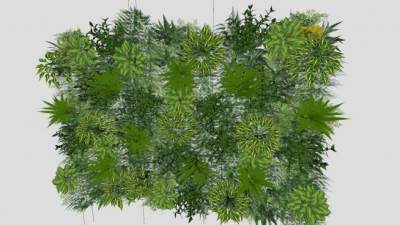 草本植物垂直花园SU模型下载_sketchup草图大师SKP模型