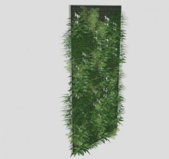 观赏植物墙SU模型下载_sketchup草图大师SKP模型