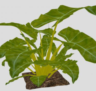 芭蕉树高大草本SU模型下载_sketchup草图大师SKP模型