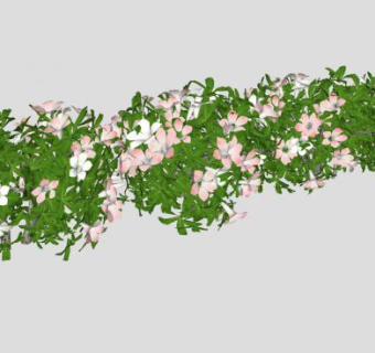 多棵开花灌木SU模型下载_sketchup草图大师SKP模型