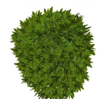 绣线菊属绿叶植物SU模型下载_sketchup草图大师SKP模型