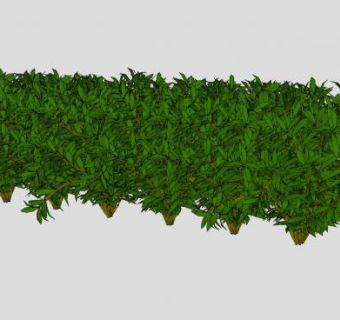 一排灌木丛植物SU模型下载_sketchup草图大师SKP模型