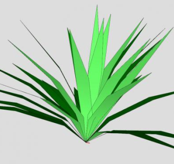 观叶草本SU模型下载_sketchup草图大师SKP模型