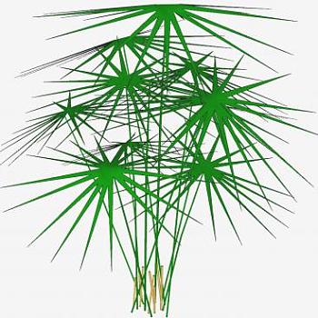 伞莎草植物SU模型下载_sketchup草图大师SKP模型