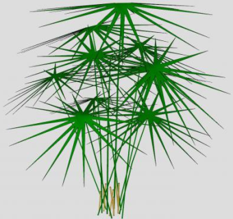 伞莎草植物SU模型下载_sketchup草图大师SKP模型